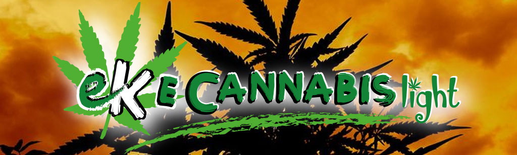 eKecannabisLight Ancona