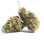 strawberry-cbd-cbweed-cannabis-light-italia-legale